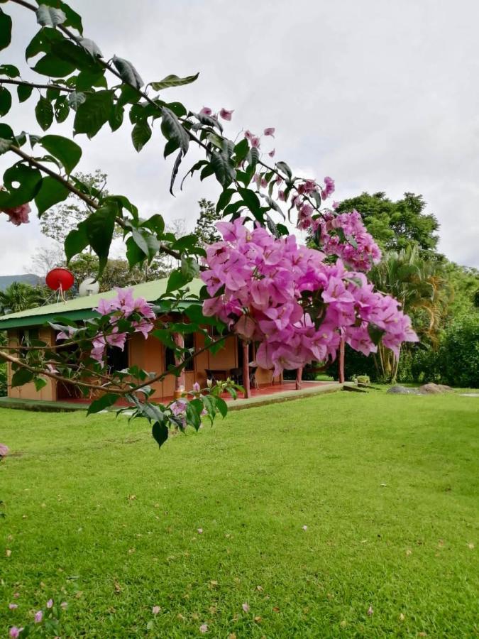 Вилла Casita El Jardin Бихагуа Экстерьер фото